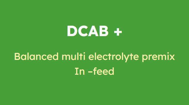 DCAB Plus