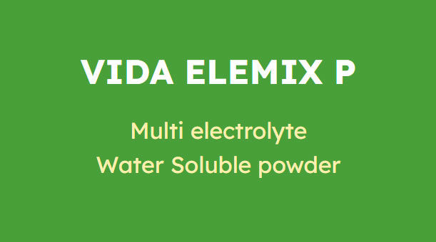 Vida Elemix P