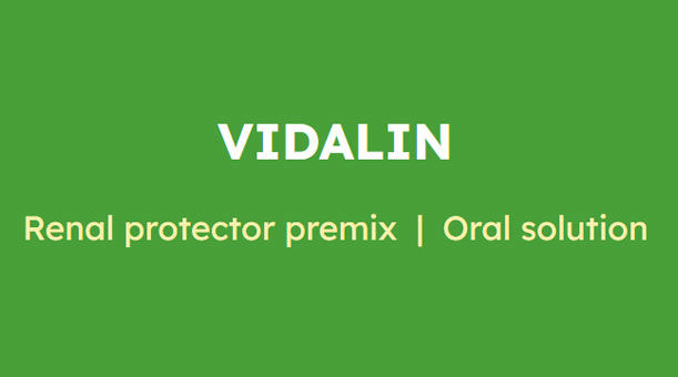 Vidalin