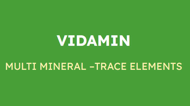 Vidamin