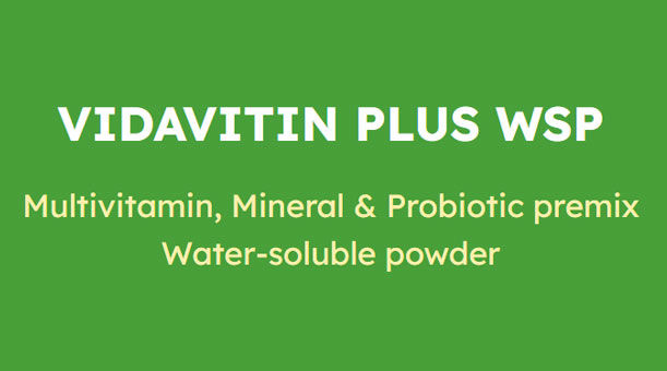 Vida Vitin Plus WSP
