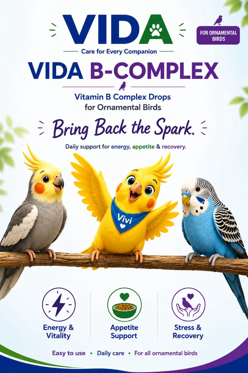 VIDA